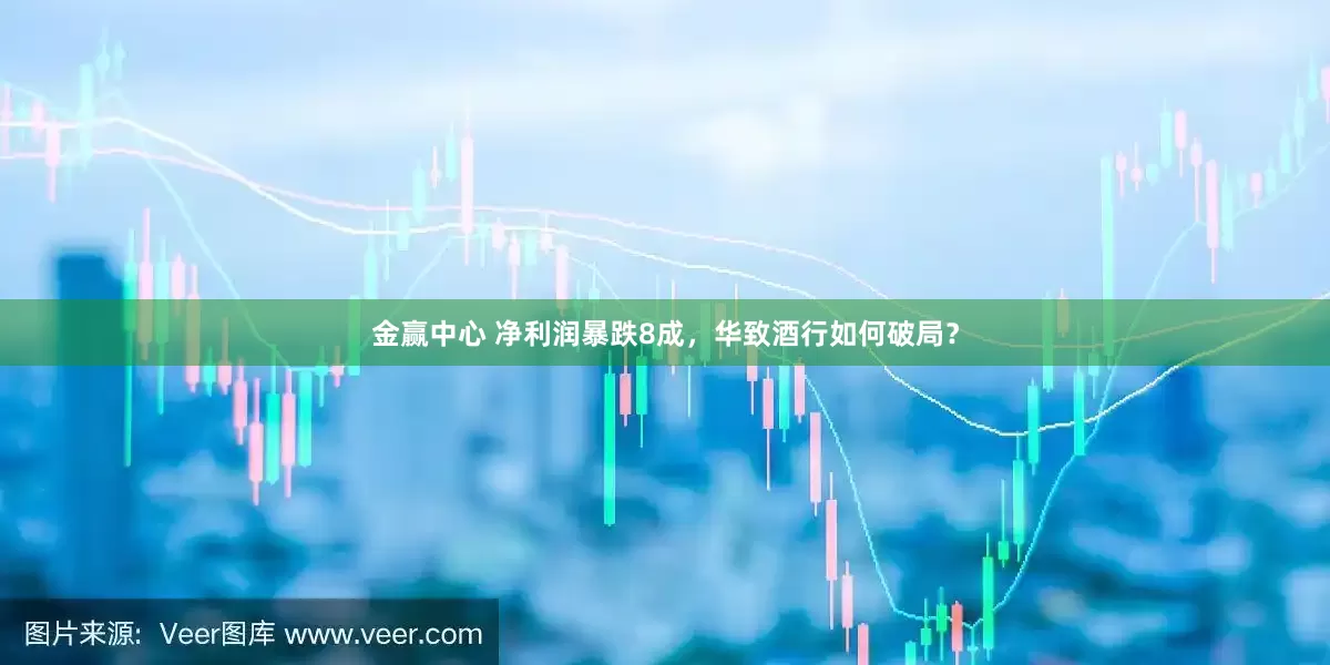 金赢中心 净利润暴跌8成，华致酒行如何破局？