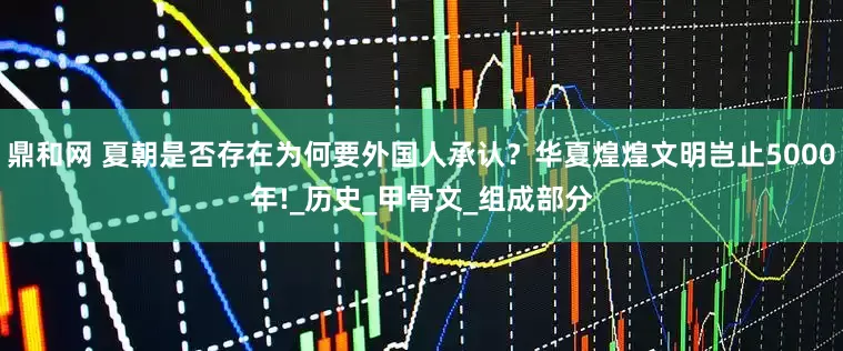 鼎和网 夏朝是否存在为何要外国人承认？华夏煌煌文明岂止5000年!_历史_甲骨文_组成部分