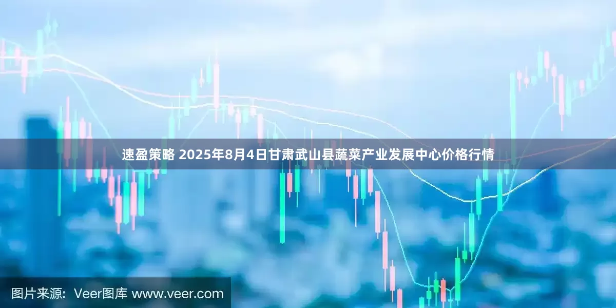 速盈策略 2025年8月4日甘肃武山县蔬菜产业发展中心价格行情